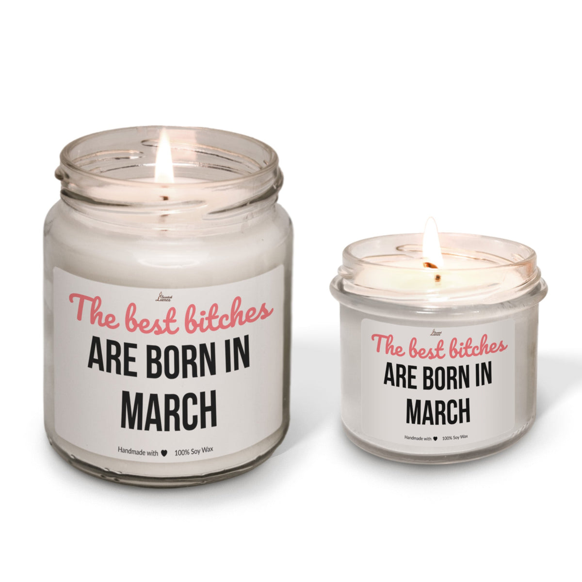 The best bitches are born in March Scented Soy Candle