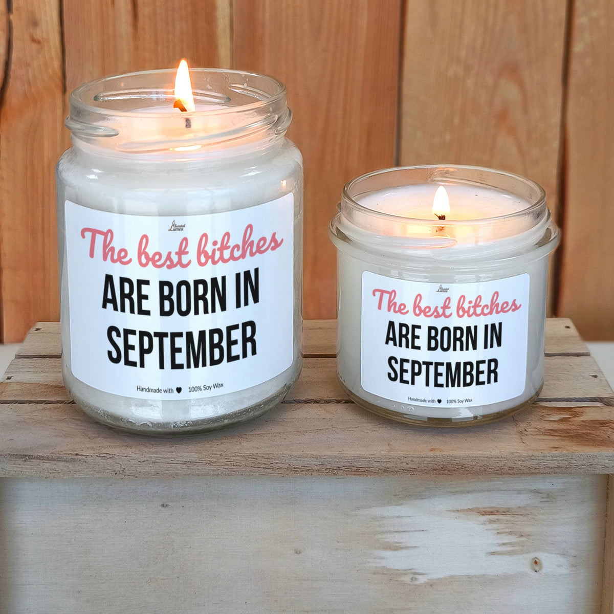 Best bitches are born in September Scented Soy Candle