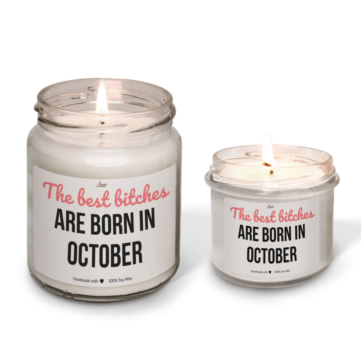 Best bitches are born in October Scented Soy Candle