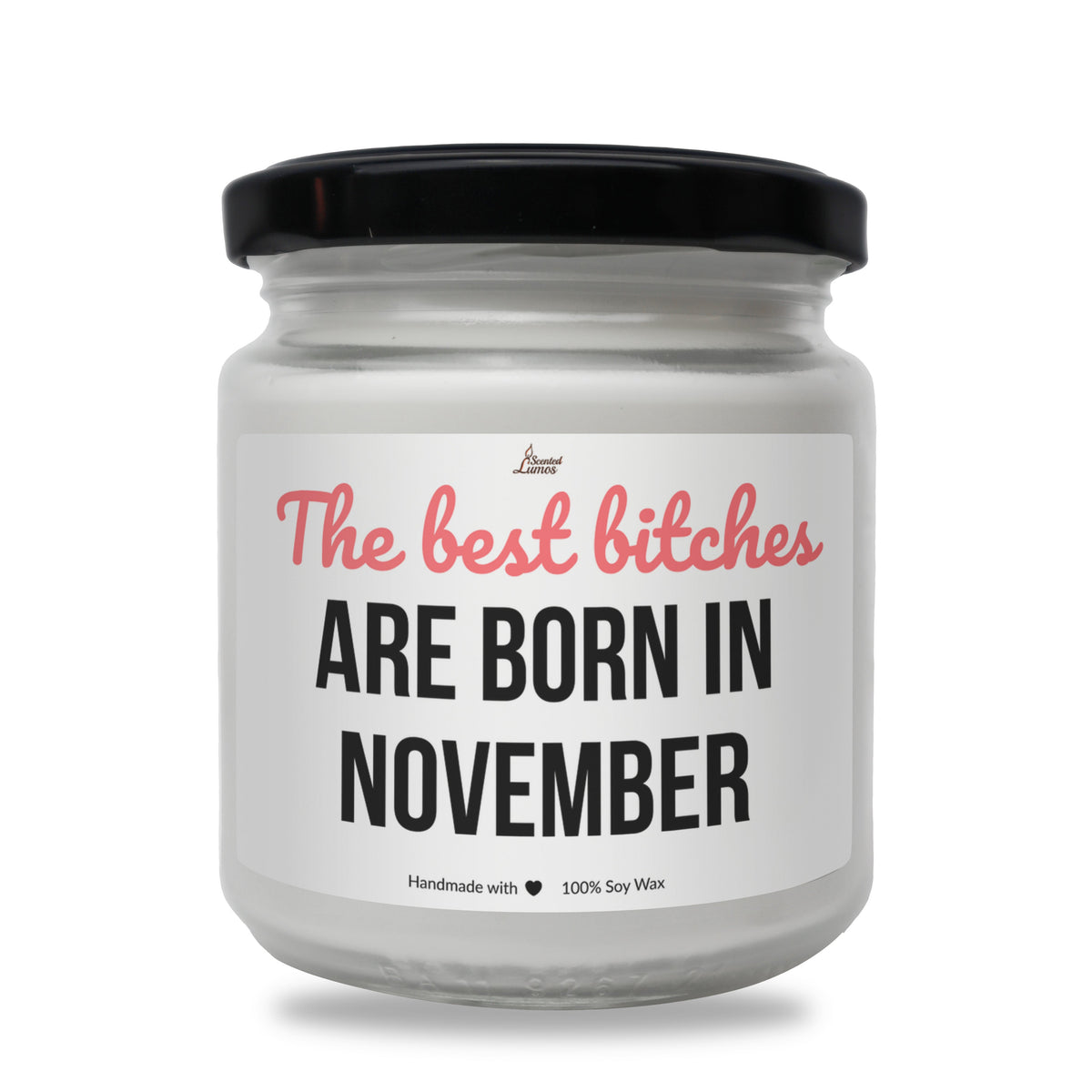 Best bitches are born in November Scented Soy Candle